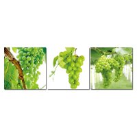 Bild 3er Set Weintrauben Wein Rebe grün Fotodruck Holzfaserplatte Wandbild 3-teilig