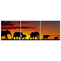 Bild 3er Set Elefanten Abendstimmung Fotodruck...