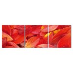 Bild 3er Set Blätter Herbstlaub Laub-Färbung rot Fotodruck Holzfaserplatte Wandbild