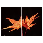 Bild 2er Set Herbst Blatt Ahornblatt Orange Rot auf Schwarz Holzfaserplatte Wandbild mind. 100x70 cm