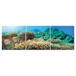 Bild 3er Set Unterwasserwelt Meer Korallen Fische Fotodruck MDF-Platten Wandbild
