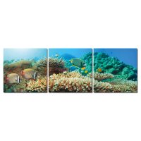 Bild 3er Set Unterwasserwelt Meer Korallen Fische Fotodruck MDF-Platten Wandbild 3 mal 40x40 cm