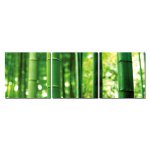 Bild 3er Set Bambus grün Pflanze Asien Natur Fotodruck 3-teilig MDF-Platten Wandbild