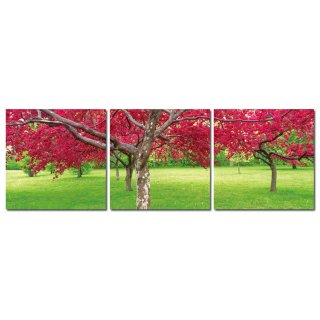 Bild 3er Set Bäume rot grün Kontrast Fotodruck Holzfaserplatte Wandbild 3-teilig