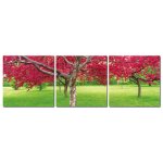 Bild 3er Set Bäume rot grün Kontrast Fotodruck Holzfaserplatte Wandbild 3 mal 40x40 cm