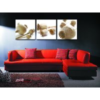 Bild 3er Set Mohnkapsel Stilleben Mohn Samen Kapsel Holzfaserplatte Wandbild einfache Montage