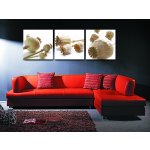 Bild 3er Set Mohnkapsel Stilleben Mohn Samen Kapsel Holzfaserplatte Wandbild einfache Montage