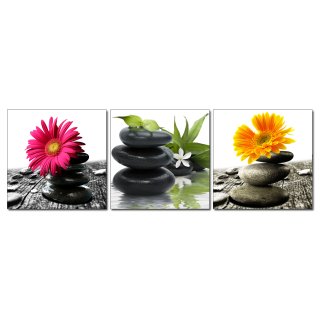 Bild 3er Set Steine in Balance mit Blumen Fotodruck Holzfaserplatte Wandbild 3 mal 30x30 cm #2212