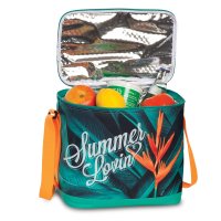 Kühltasche Picknicktasche Thermotasche isoliert wasserdicht Einkaufstasche 3 Motive
