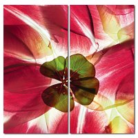 Wandbild Holzrahmen 2-teiliges -Set 80x80 cm vier...