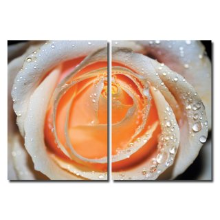 Wandbild Holzrahmen 2-teiliges -Set 70x100cm weiße Rose Wassertropfen Dekoration