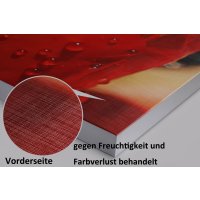 Wandbild Holzrahmen 2-teiliges -Set zeitlose schwarze weiße schmetterlinge