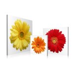 Wandbild Holzrahmen 2-teiliges -Set 40x120 cm Blume bunt Frühling Natur Sommer