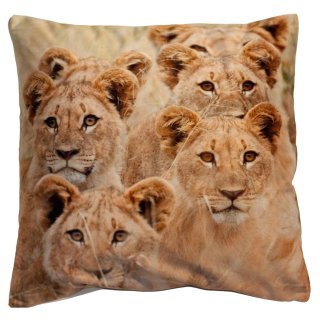 Kissenbezug Fotodruck Löwen 40x40 Kurzplüsch Deko Kissen wild life Kissenhülle