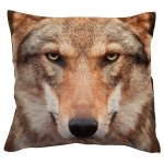 Kissenbezug Fotodruck Wolf 40x40 Kurzplüsch Deko Kissen wild life Kissenhülle