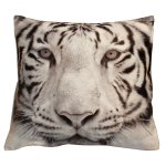 Kissenbezug Fotodruck Tiger B 40x40 Kurzplüsch Deko Kissen wild life Kissenhülle