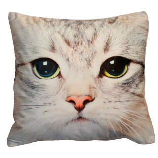 Kissenbezug Fotodruck Katze A 40x40 Kurzplüsch Deko Kissen wild life Kissenhülle