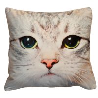 Kissenbezug Fotodruck Katze A 40x40 Kurzplüsch Deko...