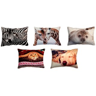 Kissenhülle Fotodruck Tiere Kurzplüsch Kissenbezug Deko Kissen 40x60