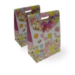 Geschenktaschen Klettverschluss 2er Set 19x27x8 cm Teddy gelb