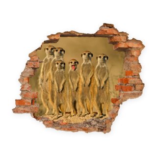 Wandbild Meerkats Sticker 3D mix Foto Tapete Wandtattoo ca. 125x100 cm #1542
