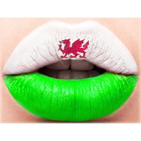 Leinwand Bild Wales Mund 30x40 cm L&auml;nder Flaggen...