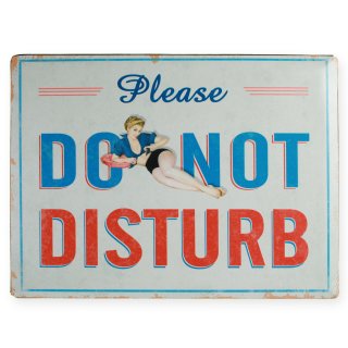 Blechschild Sprüche Schild Do not Disturb ca. 40x30 cm hellgrau Spruch Metallschild