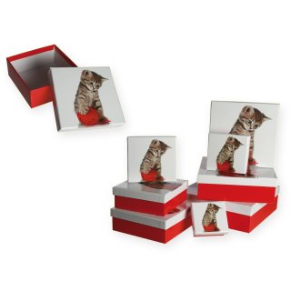 Geschenkboxen 8er Set Katze mit Wollknäuel Geschenkkarton rot Box 22,5x22,5x8 cm