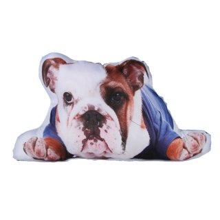 Dekokissen Hund Fotodruck ca. 40x25 cm Zierkissen Sofakissen Kissen gefüllt