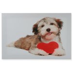 Leinwandbild Hund mit Herz Leinwand Bild ca. 30x40 cm Leinen auf Holzrahmen