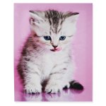 Leinwandbild Katze Leinwand Bild ca. 30x40 cm Leinen auf Holzrahmen