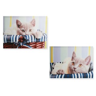 Leinwandbild Katze im Korb Leinwand Bild ca. 40x50 cm Leinen auf Holzrahmen Katzengesicht seitlich