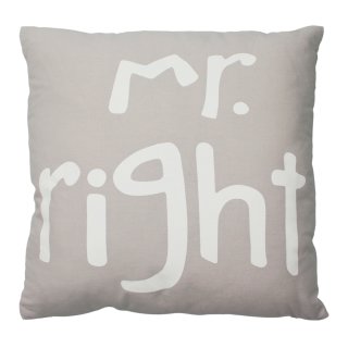 Kissenbezug Mr. Right hell Kissenhülle Baumwolle Kissen ca. 45x45 cm grau / taupe