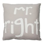 Kissenbezug Mr. Right hell Kissenhülle Baumwolle Kissen ca. 45x45 cm grau / taupe