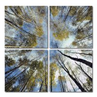 Bild auf Holzfaserplatte Fotodruck Wandbild 4er Set einfache Montage Motiv Wald