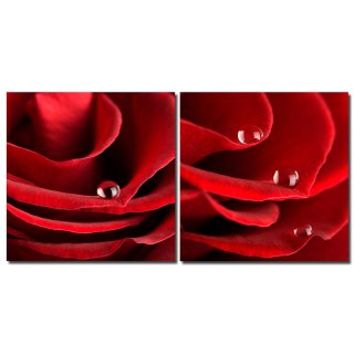 Bild rote Rose mit Tropfen Holzfaserplatte Fotodruck Wandbild 2er Set einfache Montage