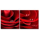 Bild rote Rose mit Tropfen Holzfaserplatte Fotodruck Wandbild 2er Set einfache Montage