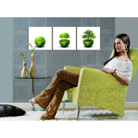 Bild Holzfaserplatte 30x30 cm Fotodruck Wandbild 3er Set grüne Erde Dekoration Wohnzimmer