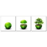 Bild Holzfaserplatte 40x40 cm Fotodruck Wandbild 3er Set grüne Erde Dekoration Wohnzimmer