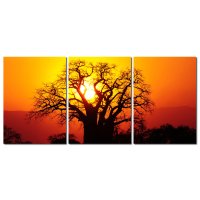 Bild Abend-Sonne Baum 3er Set Holzfaserplatte Fotodruck...