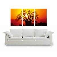 Bild Abend-Sonne Baum 3er Set Holzfaserplatte Fotodruck Wandbild 3 mal 50x70 cm