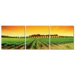 Bild Toskana Wein-Feld Fotodruck Holzfaserplatte Wandbild 3er Set einfache Montage