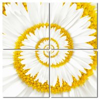 Bild Margerite Holzfaserplatte Fotodruck Wandbild 4er Set Blumen Wirbel einfache Montage