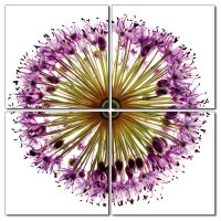 Bild lila Blume Fotodruck Holzfaserplatte Wandbild 4er Set einfache Montage Flower Mosaik 4 mal 50x50 cm